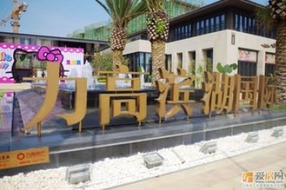 力高濱湖國際